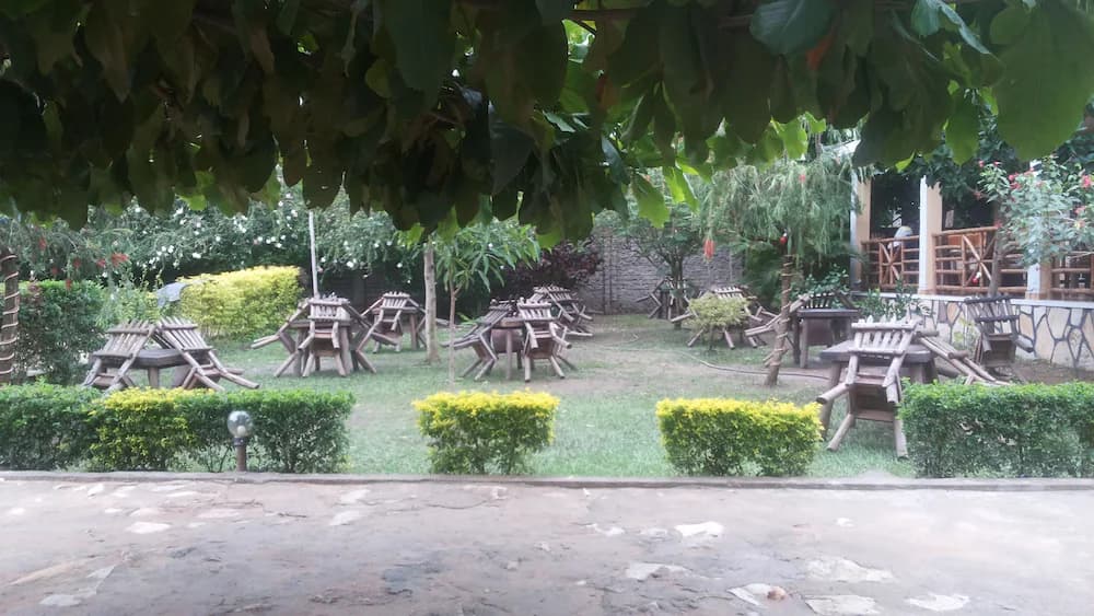 Garden
