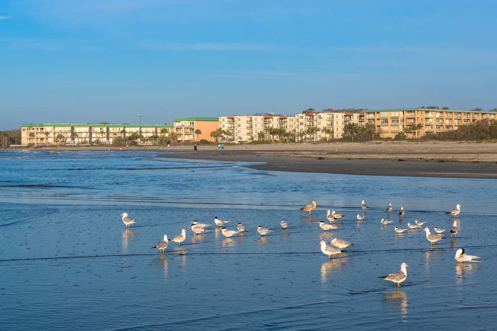 Beach