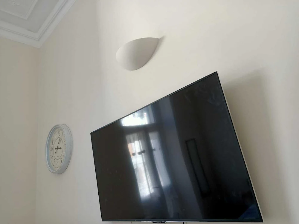 Television
