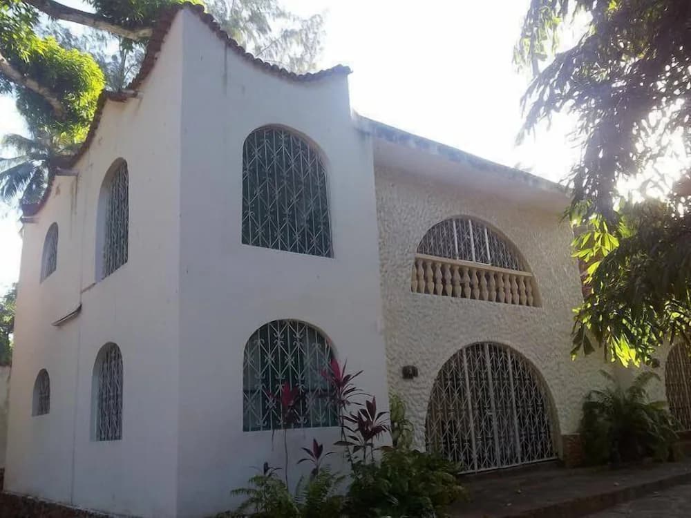 Primary image