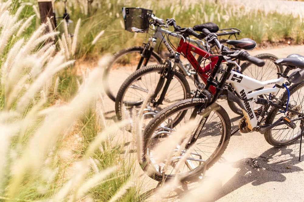 Bicycling