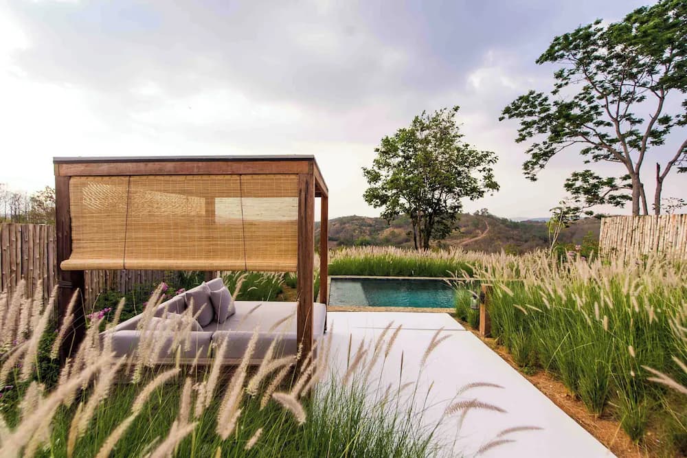 Garden view