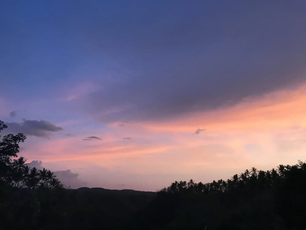 Land view from property