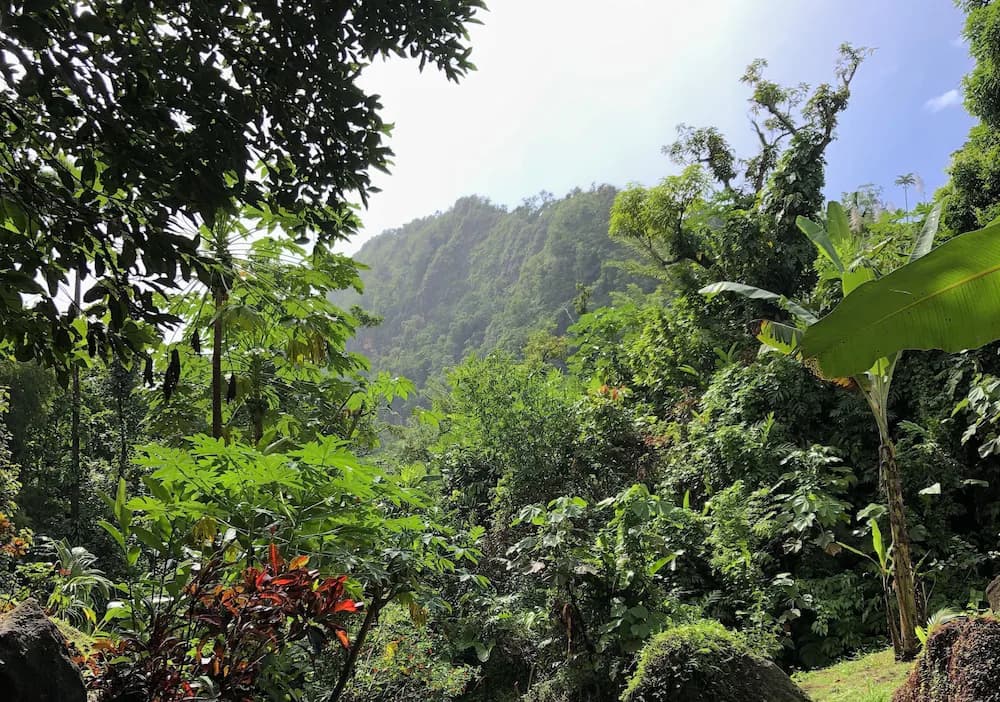 View from property
