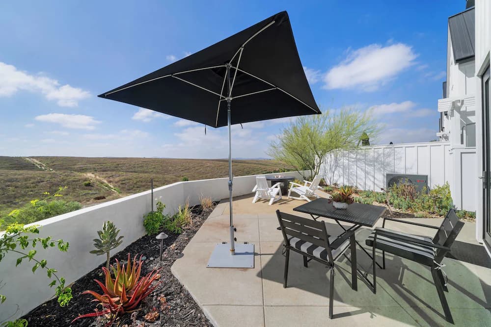 Vineyard view