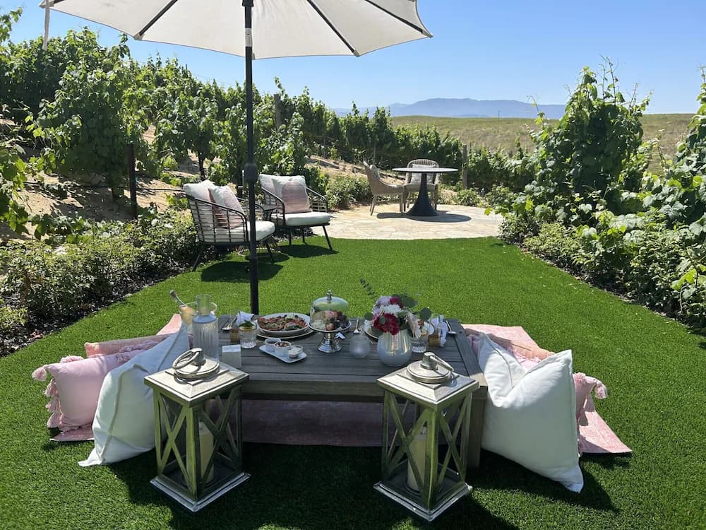 BBQ/picnic area