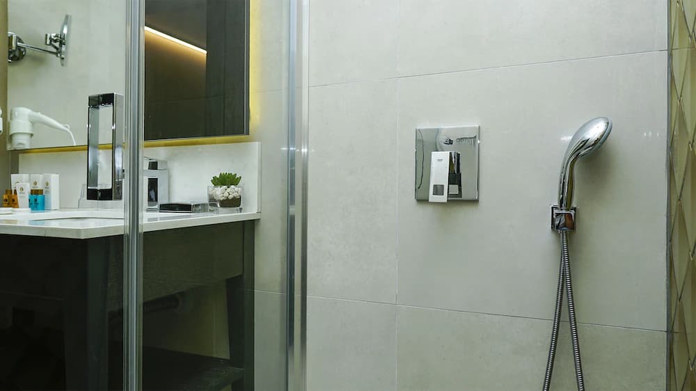 Bathroom shower