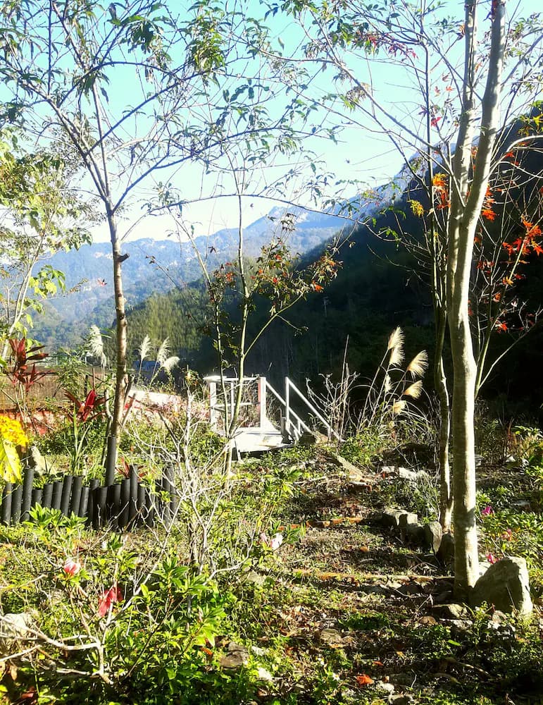 Garden view