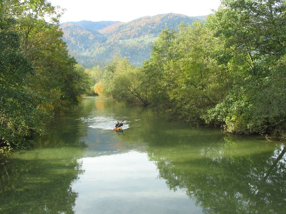 Fishing
