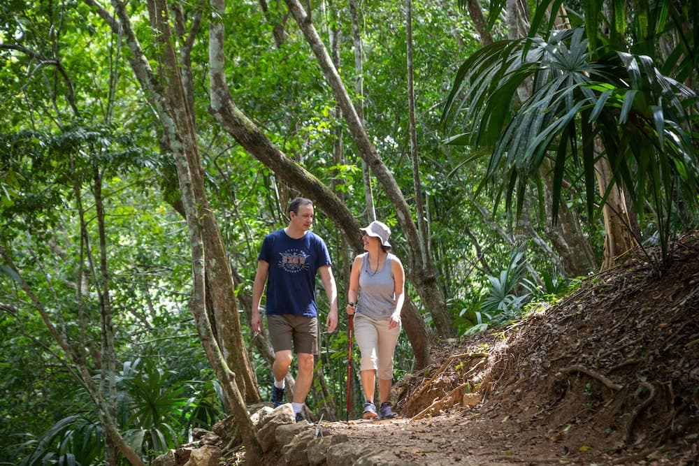 Hiking