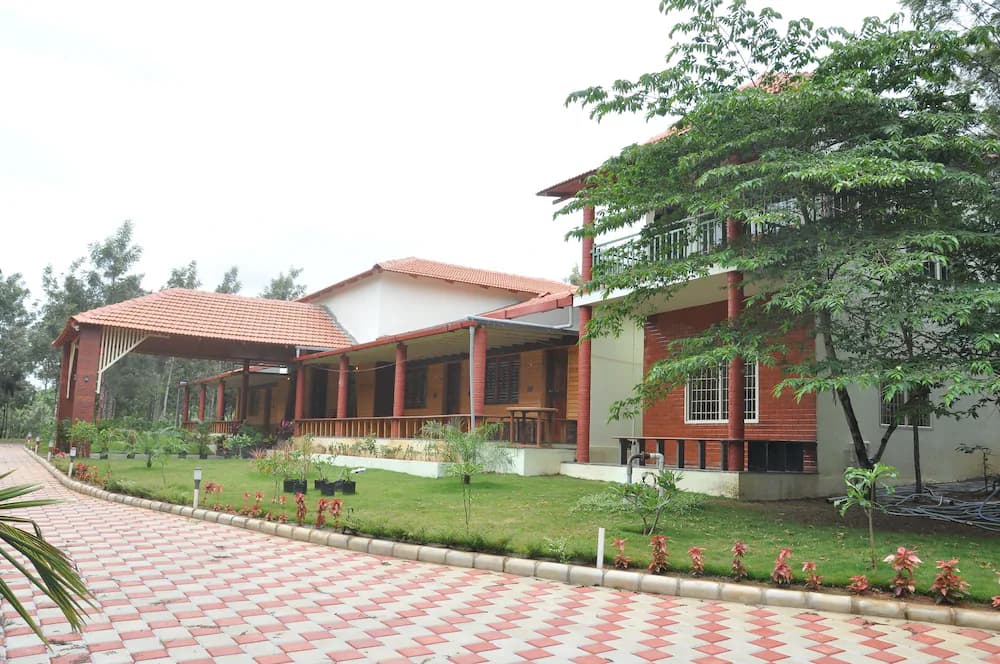 Primary image