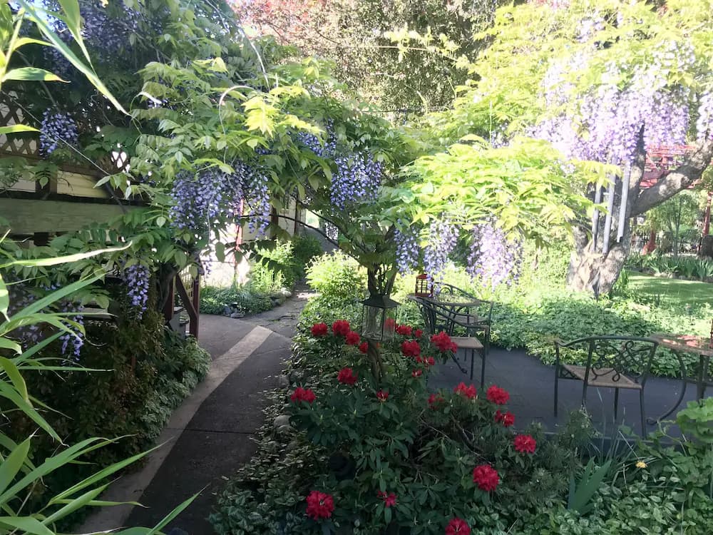 Garden view