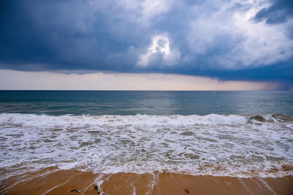 Beach/ocean view