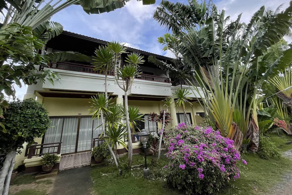 Garden view