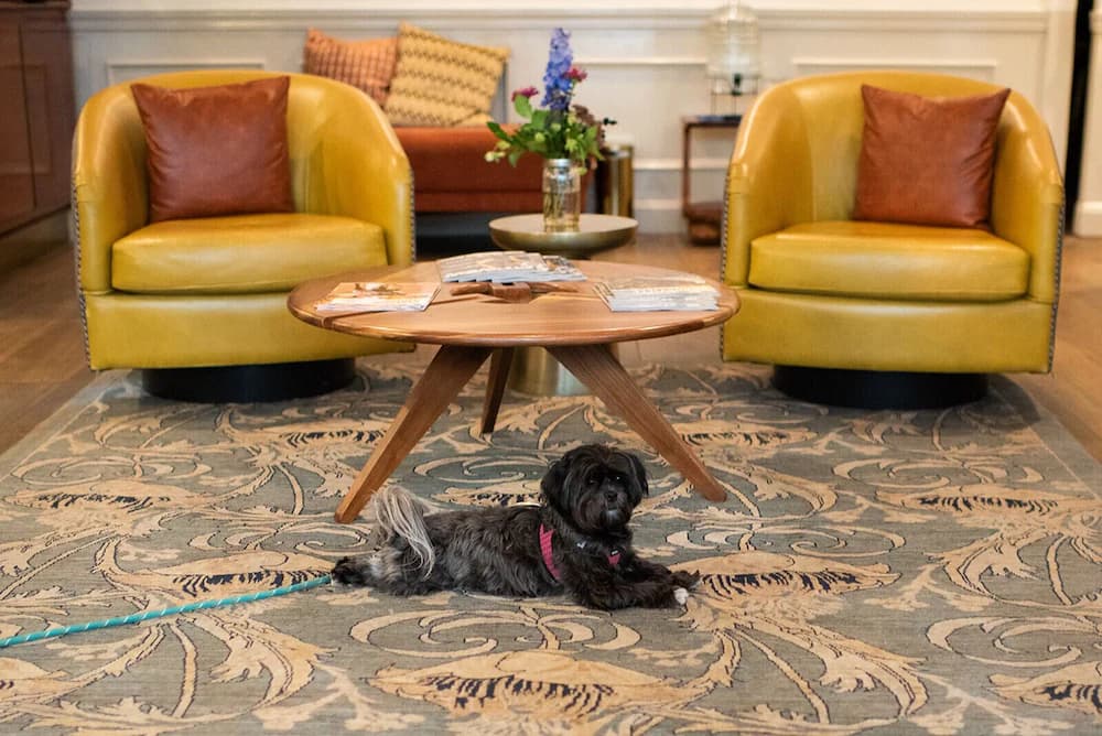 Pet-friendly