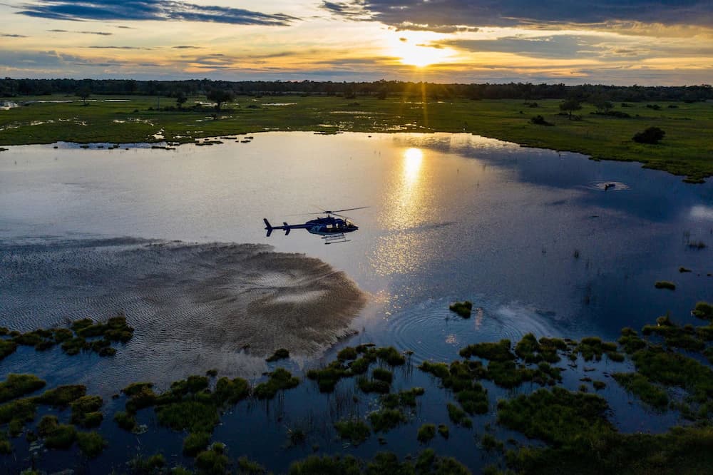 Helicopter/plane tours