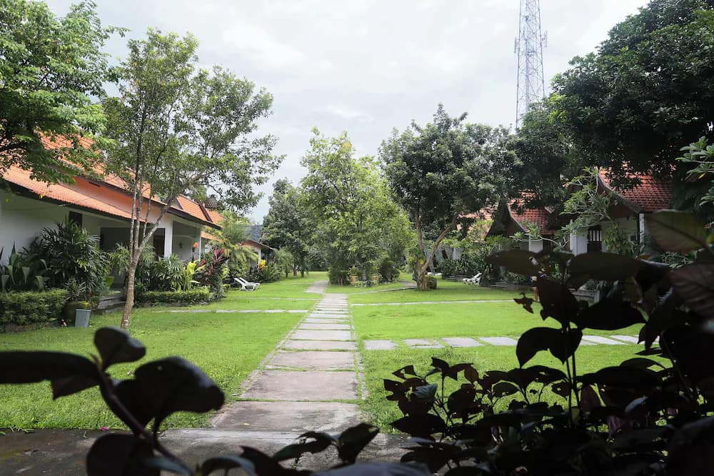 Garden view