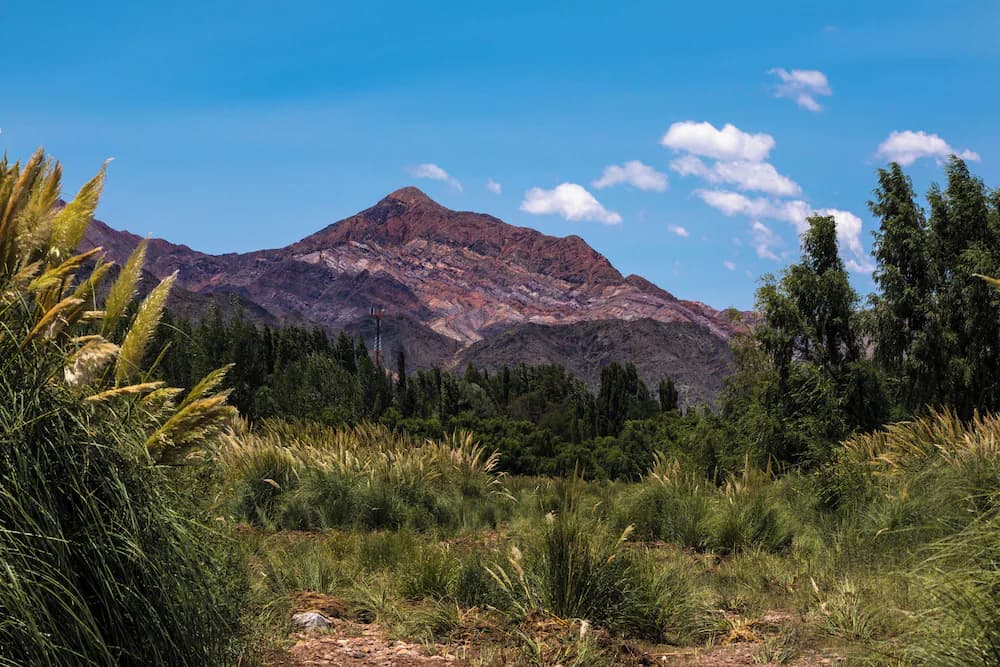 Land view from property