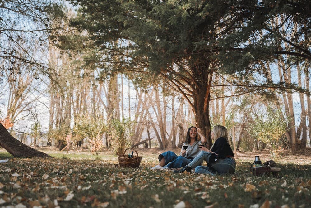 BBQ/picnic area