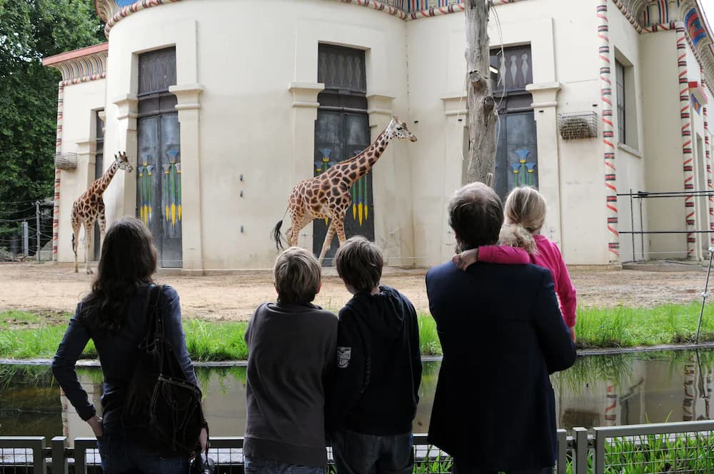 Children's activities