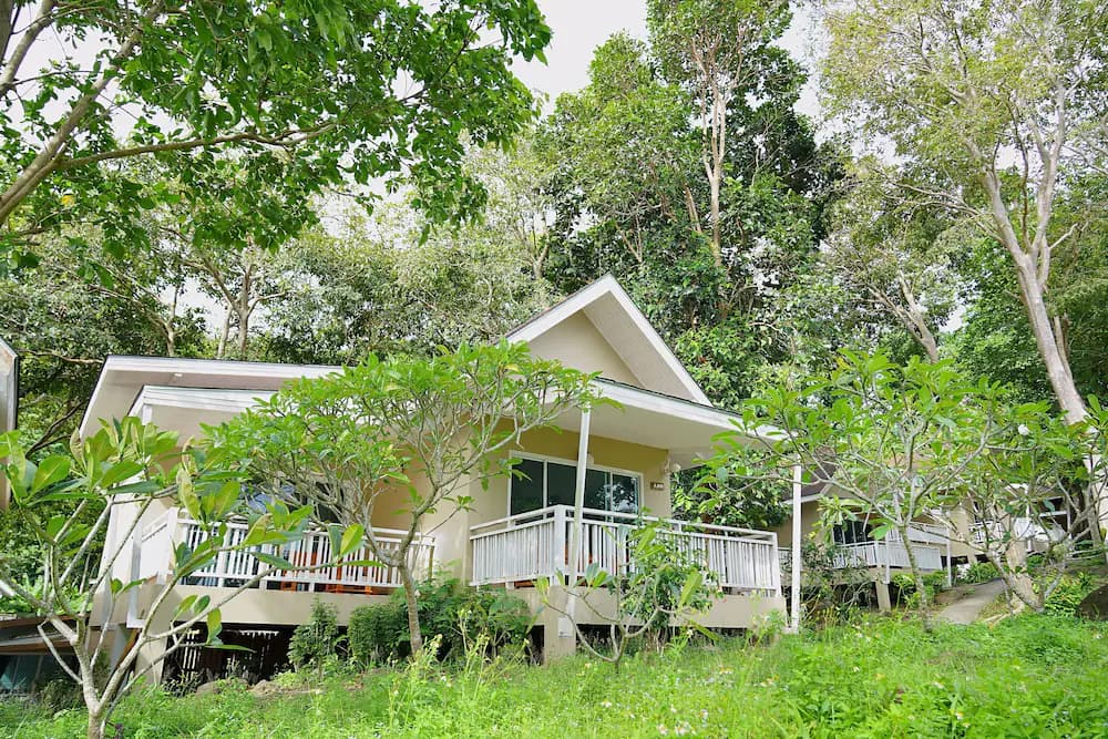 Garden view