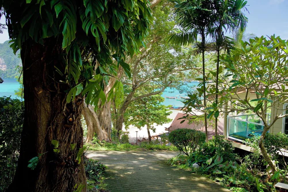 Land view from property
