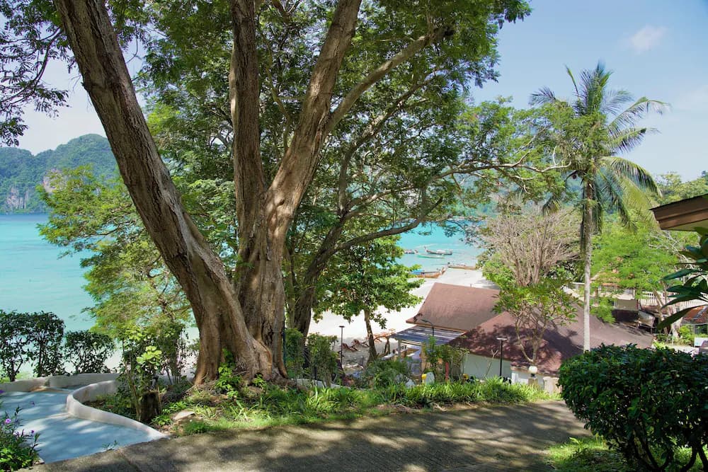 Land view from property