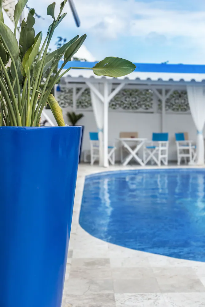 Rooftop pool