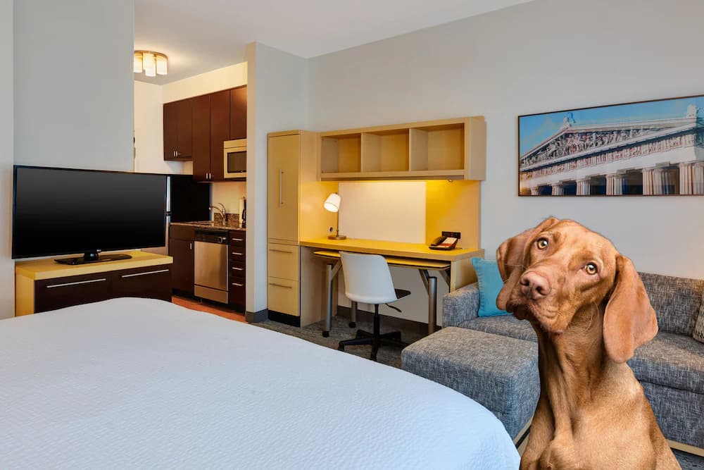 Pet-friendly