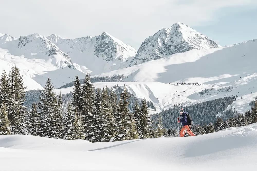Snowshoeing