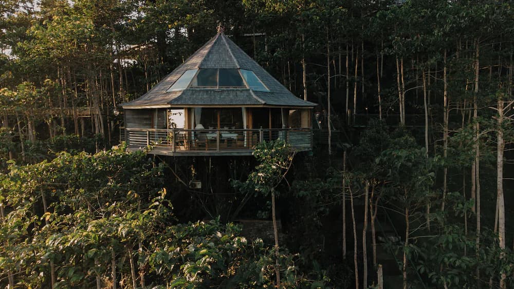 View from property