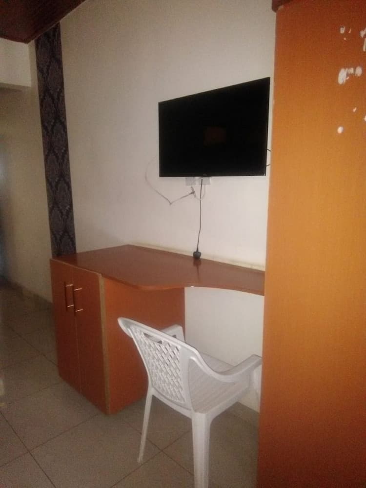 Television