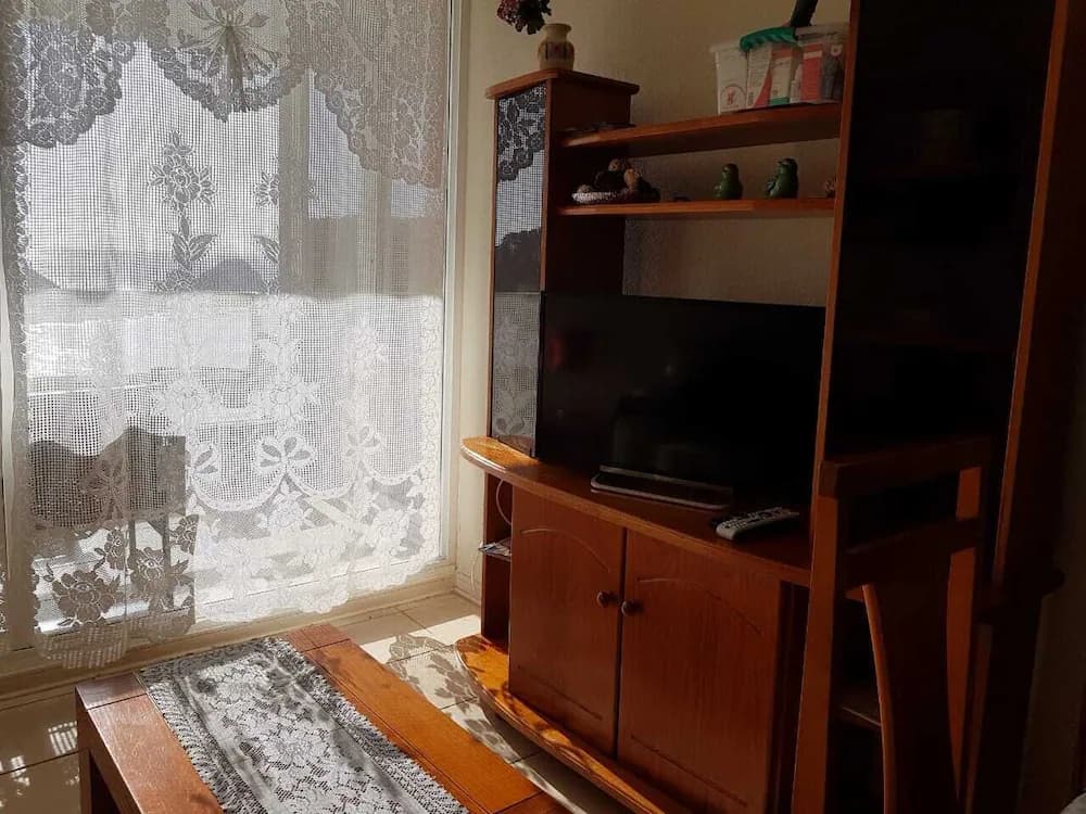 Television