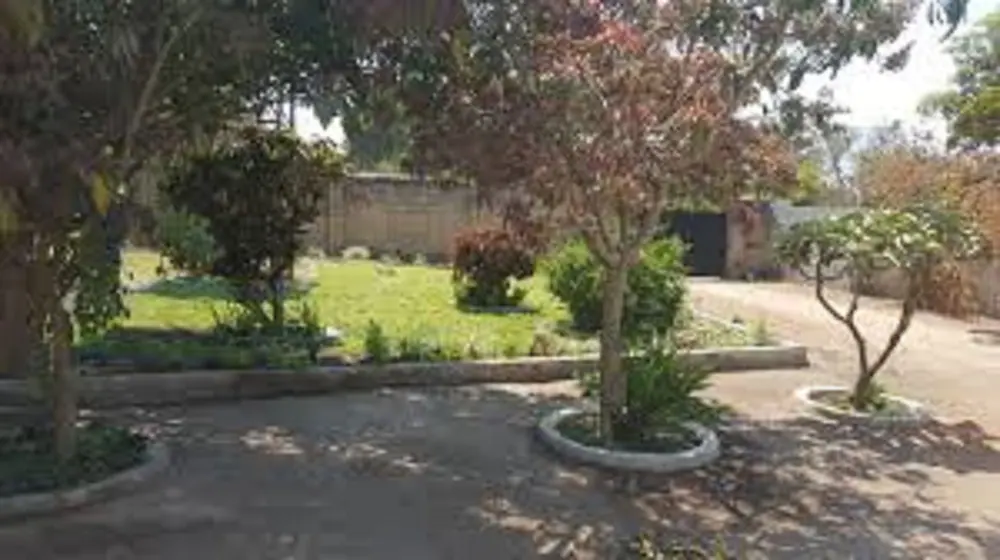 Primary image