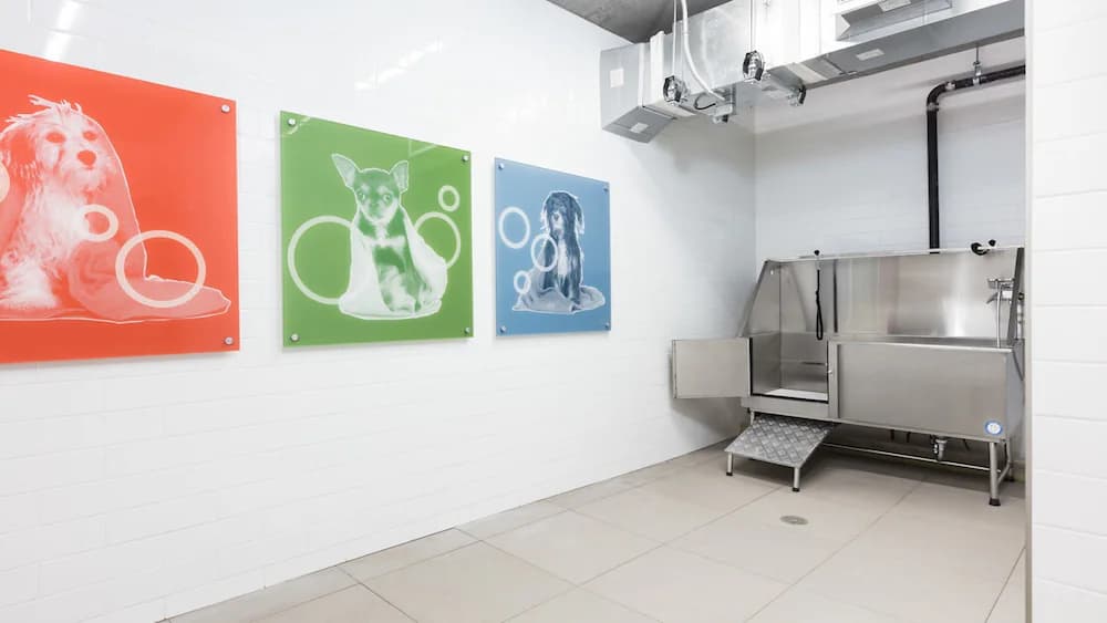 Pet-friendly