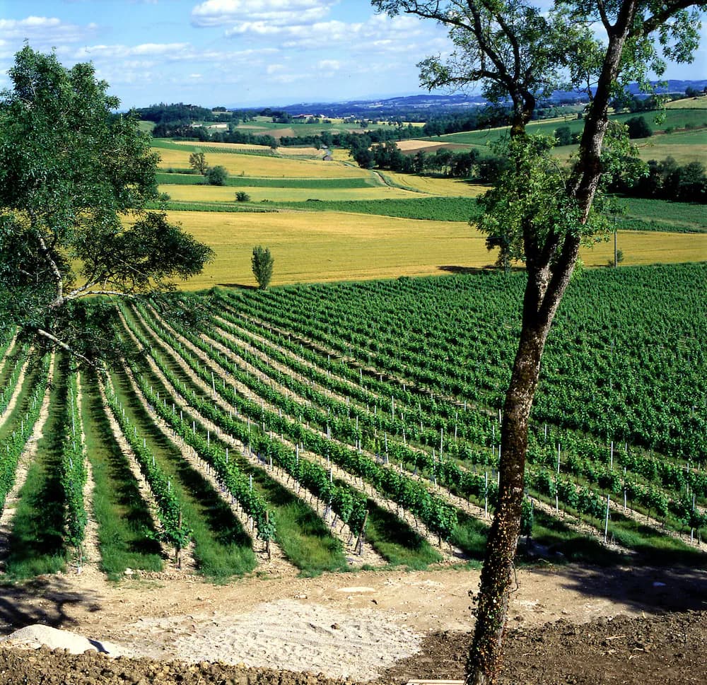Winery