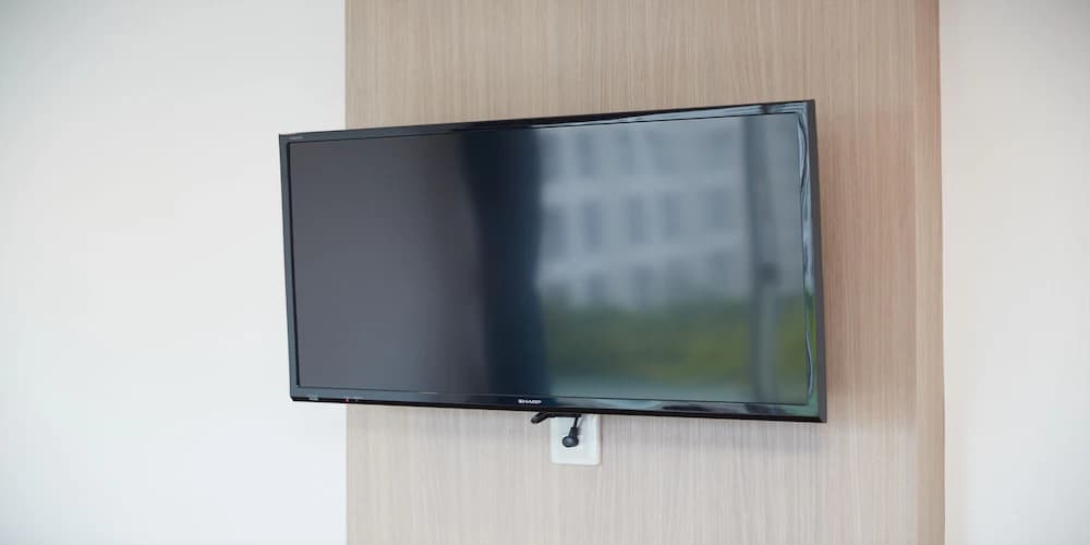 Television