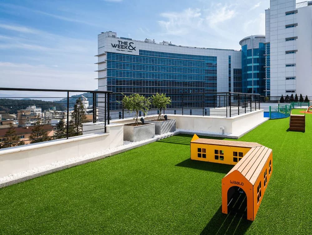 Pet-friendly amenities