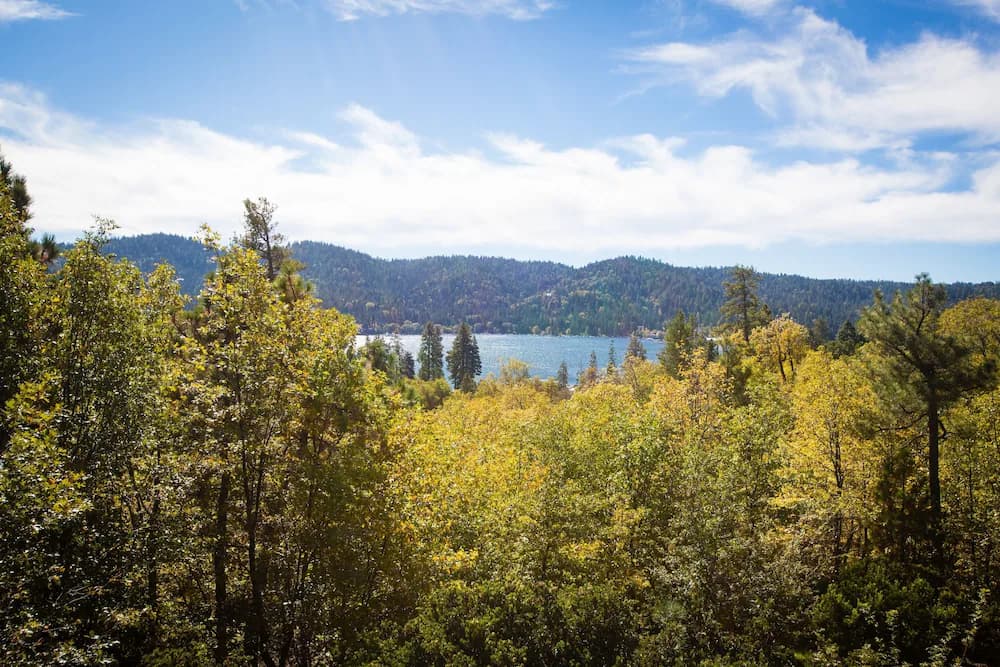 View from property
