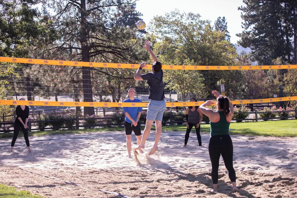 Sport court