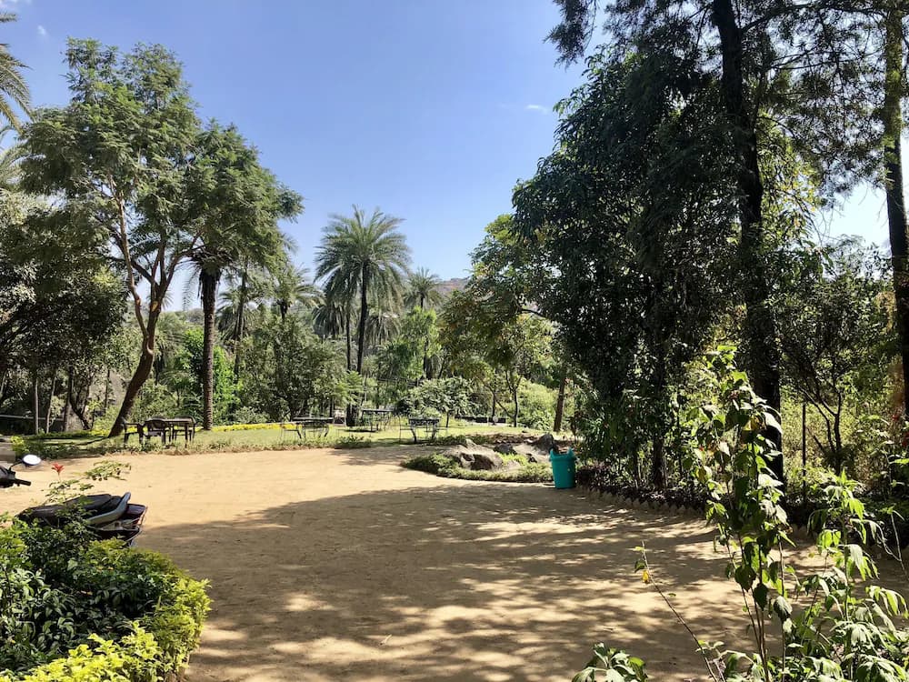 Garden view