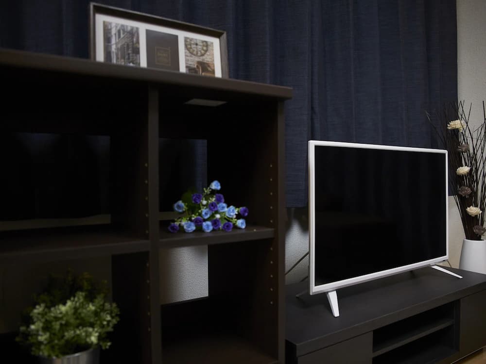 Television
