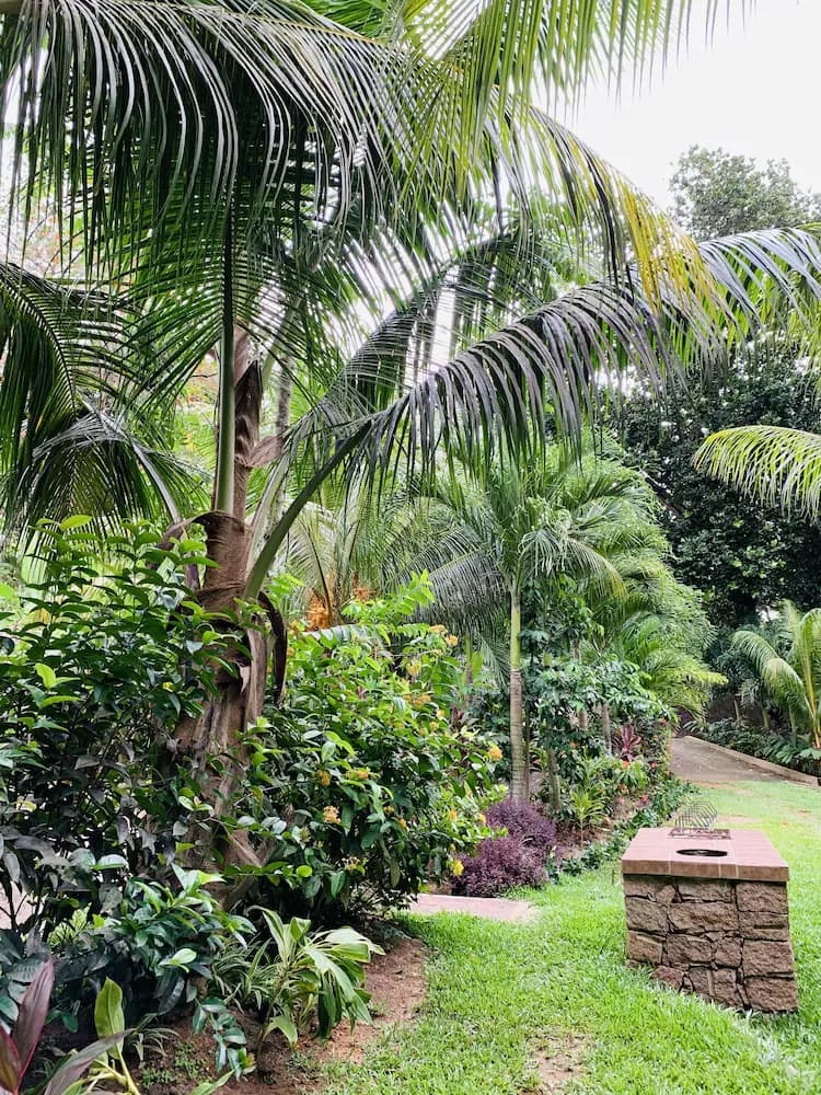 Garden view