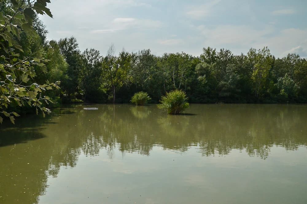 Lake