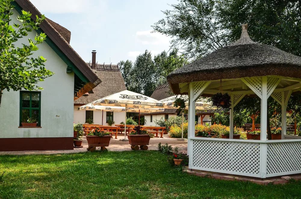 Outdoor wedding area