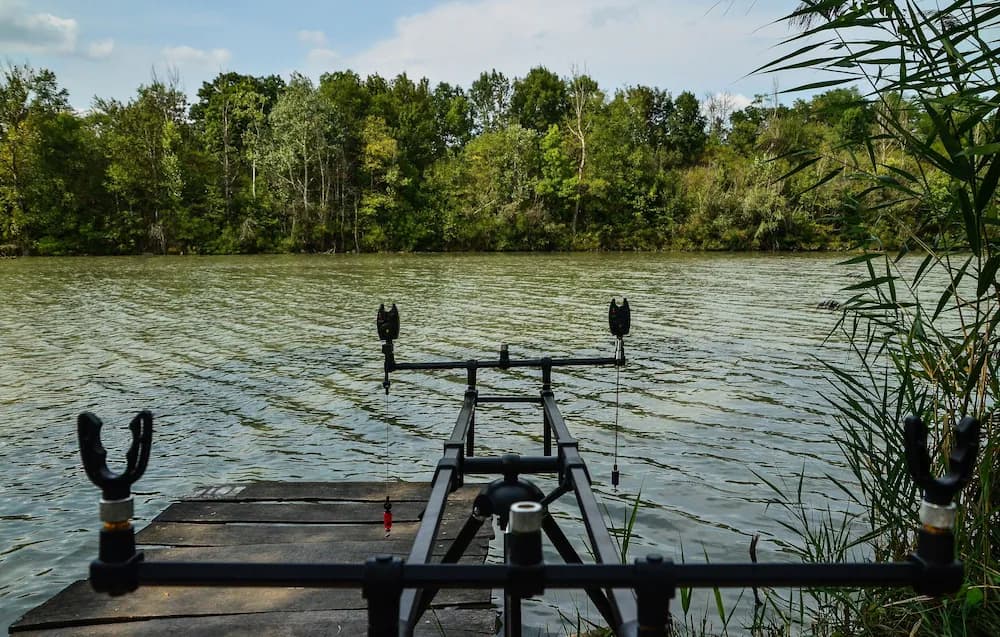 Fishing