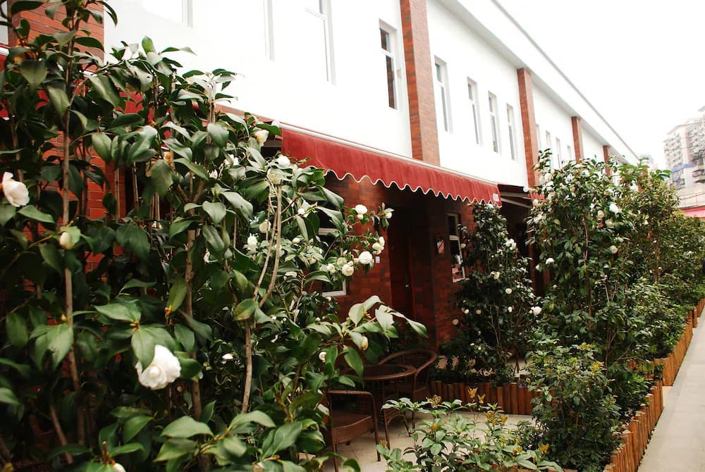 Garden view