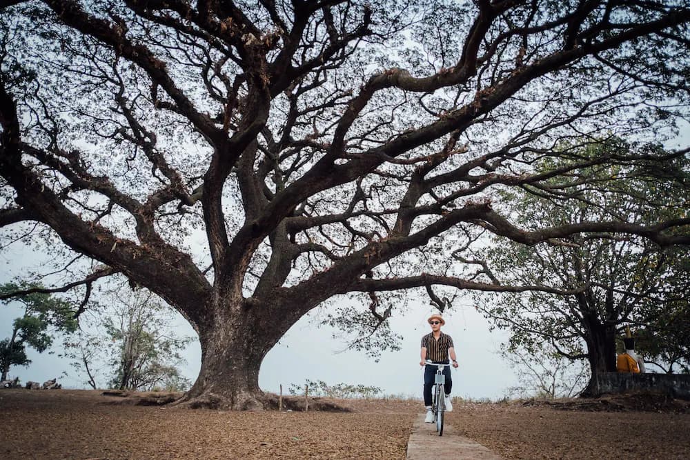 Bicycling