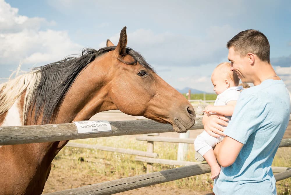Horseback riding