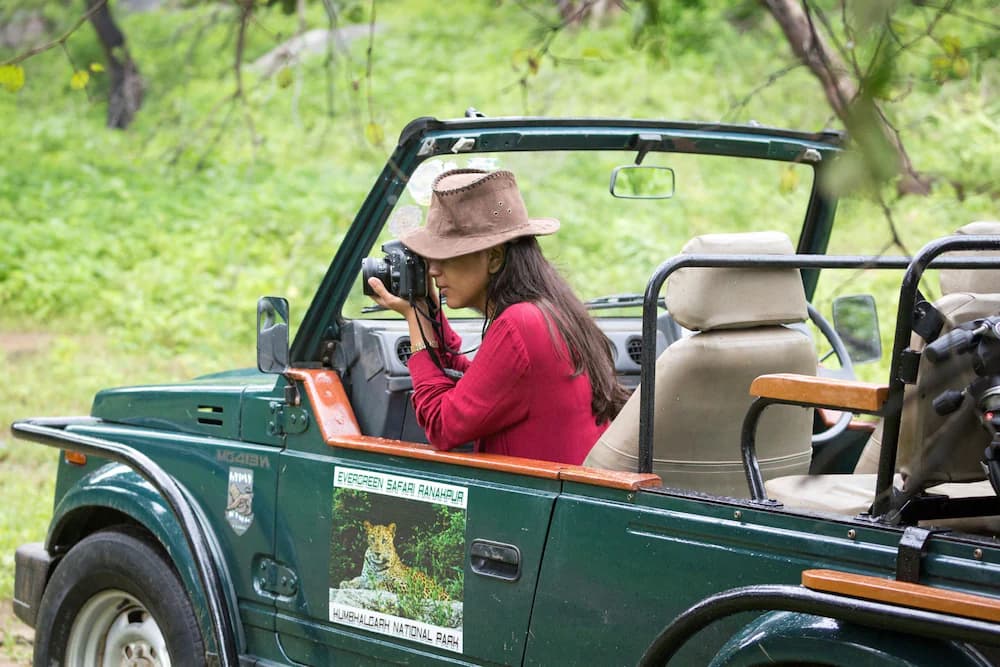 Safari